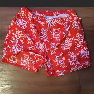 2xist Swim Trunks